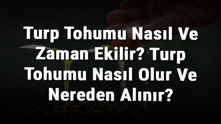 Turp Tohumu Nasıl Ve Zaman Ekilir Turp Tohumu Nasıl Olur Ve Nereden Alınır Turp Tohumu Nasıl Ve Zaman Ekilir Turp Tohumu Nasıl Olur Ve Nereden Alınır