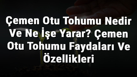 Çemen Otu Tohumu Nedir Ve Ne İşe Yarar Çemen Otu Tohumu Faydaları Ve Özellikleri