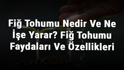 Fiğ Tohumu Nedir Ve Ne İşe Yarar Fiğ Tohumu Faydaları Ve Özellikleri