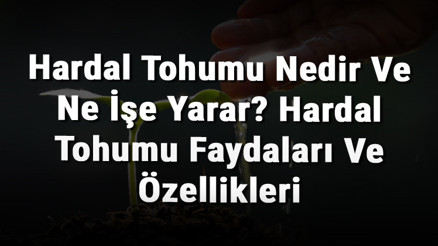 Hardal Tohumu Nedir Ve Ne İşe Yarar Hardal Tohumu Faydaları Ve Özellikleri