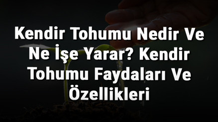 Kendir Tohumu Nedir Ve Ne İşe Yarar Kendir Tohumu Faydaları Ve Özellikleri