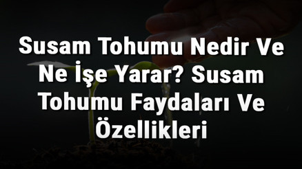 Susam Tohumu Nedir Ve Ne İşe Yarar Susam Tohumu Faydaları Ve Özellikleri
