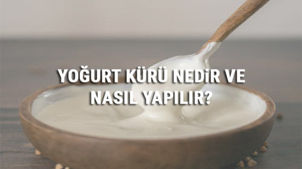 Yoğurt Kürü Nedir Ve Nasıl Yapılır Yoğurt Kürü Faydaları Ve Tarifi