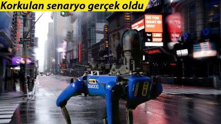 Sosyal medyada günün konusu: Robot köpek testlere başladı