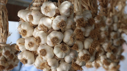 Türkiyenin ABde tescilli coğrafi işareti 7ye çıktı