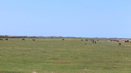 Kızılırmak Deltası küçülüyor Korkutan görüntü