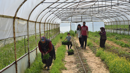 4,5 yıl önce eşinin köyüne yerleştiler... Atıl arazide iş kurup istihdam yarattılar...