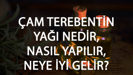 Çam Terebentin Yağı Nedir, Nasıl Yapılır Ve Neye İyi Gelir Çam Terebentin Yağı Faydaları Ve Kullanımı Çam Terebentin Yağı Nedir, Nasıl Yapılır Ve Neye İyi Gelir Çam Terebentin Yağı Faydaları Ve Kullanımı