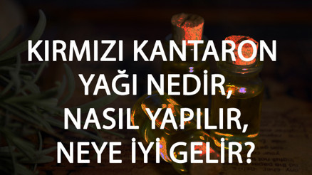 Kırmızı Kantaron Yağı Nedir, Nasıl Yapılır Ve Neye İyi Gelir Kırmızı Kantaron Yağı Faydaları Ve Kullanımı