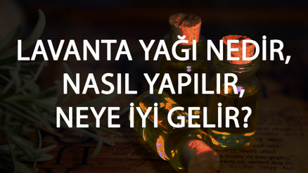 Lavanta Yağı Nedir, Nasıl Yapılır Ve Neye İyi Gelir Lavanta Yağı Faydaları Ve Kullanımı