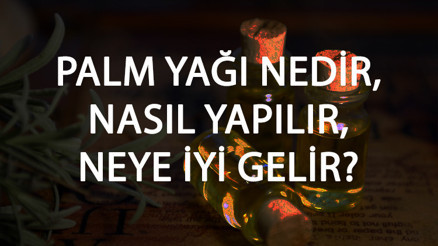 Palm Yağı Nedir, Nasıl Yapılır Ve Neye İyi Gelir Palm Yağı Faydaları Ve Kullanımı