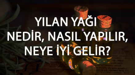 Yılan Yağı Nedir, Nasıl Yapılır Ve Neye İyi Gelir Yılan Yağı Faydaları Ve Kullanımı