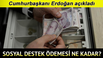 Yardım başvurusu nasıl ve nereden yapılır 1100 TL pandemi sosyal destek yardımı başvurusu E-Devlet sorgulama ekranı... İşte yeni detaylar