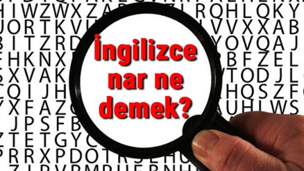 İngilizce nar ne demek Nar kelimesinin İngilizce yazılışı, okunuşu ve söylenişi