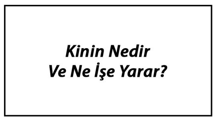 Kinin Nedir Ve Ne İşe Yarar