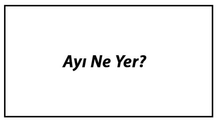 Ayı Ne Yer Yavru Ayılar Nasıl Beslenir Ve Ayıların En Çok Sevdiği Besinler Neler