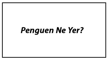 Penguen Ne Yer Penguenler Nasıl Beslenir Ve En Çok Sevdiği Besinler Neler Penguen Ne Yer Penguenler Nasıl Beslenir Ve En Çok Sevdiği Besinler Neler