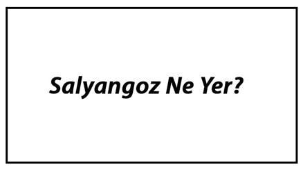 Salyangoz Ne Yer Salyangozlar Nasıl Beslenir Ve En Çok Sevdiği Besinler Neler Salyangoz Ne Yer Salyangozlar Nasıl Beslenir Ve En Çok Sevdiği Besinler Neler