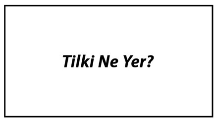Tilki Ne Yer Tilkiler Nasıl Beslenir Ve En Çok Sevdiği Besinler Neler