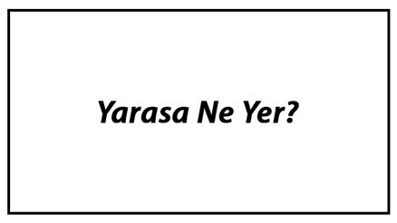 Yarasa Ne Yer Yarasalar Nasıl Beslenir Ve En Çok Sevdiği Besinler Neler