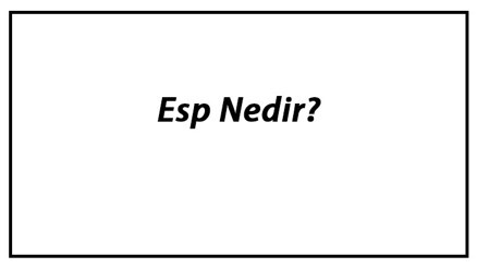 Esp Nedir Arabada Esp Ne İşe Yarar Ve Nasıl Çalışır