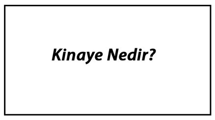 Kinaye Nedir Kinaye Söz Sanatı Özellikleri Ve Örnekleri Hakkında Bilgi
