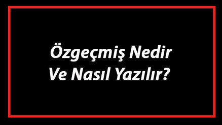 Özgeçmiş Nedir Ve Nasıl Yazılır Özgeçmiş Yazım Kuralları Ve Örnekleri