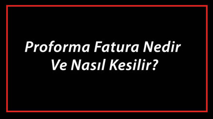 Proforma Fatura Nedir Ve Nasıl Kesilir Proforma Fatura Nasıl Düzenlenir