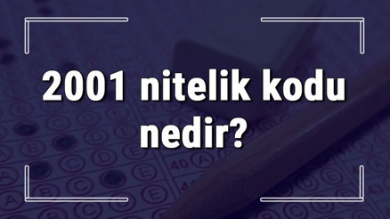 2001 nitelik kodu nedir KPSS 2001 nitelik kodu özel şartı ne işe yarar 2001 nitelik kodu nedir KPSS 2001 nitelik kodu özel şartı ne işe yarar