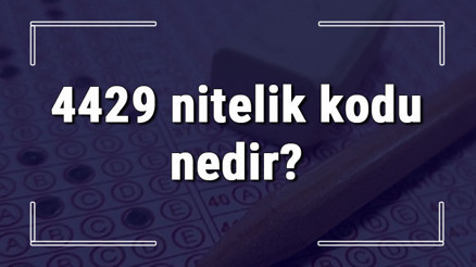 4429 nitelik kodu nedir KPSS 4429 nitelik kodu özel şartı ne işe yarar