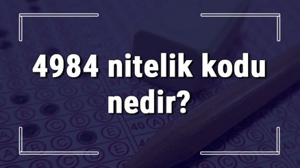 4984 nitelik kodu nedir KPSS 4984 nitelik kodu özel şartı ne işe yarar