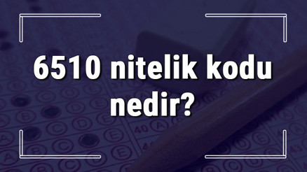 6510 nitelik kodu nedir KPSS 6510 nitelik kodu özel şartı ne işe yarar