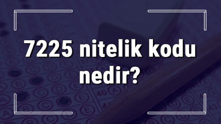 7225 nitelik kodu nedir KPSS 7225 nitelik kodu özel şartı ne işe yarar