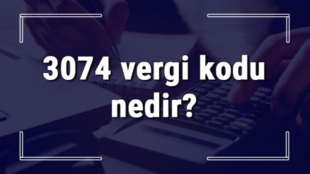 3074 vergi kodu nedir Özel usulsüzlük cezası ödeme işlemi