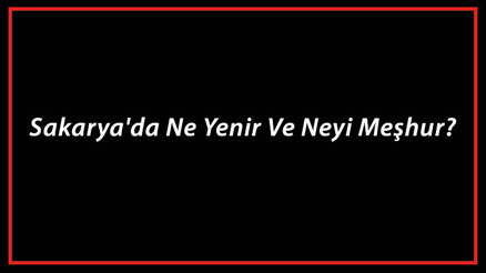 Sakarya Yemekleri - Sakaryada Ne Yenir Ve Neyi Meşhur Sakarya Mutfağı Yemeklerinin İsimleri Ve Listesi