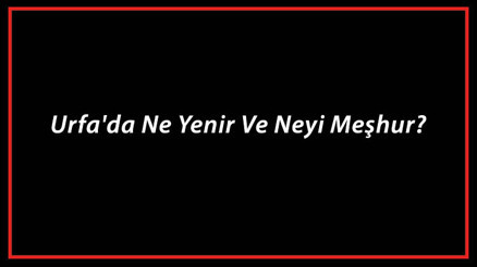 Şanlıurfa Yemekleri - Urfada Ne Yenir Ve Neyi Meşhur Şanlıurfa Mutfağı Yemeklerinin İsimleri Ve Listesi Şanlıurfa Yemekleri - Urfada Ne Yenir Ve Neyi Meşhur Şanlıurfa Mutfağı Yemeklerinin İsimleri Ve Listesi