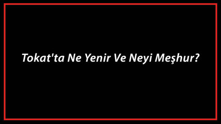 Tokat Yemekleri - Tokatta Ne Yenir Ve Neyi Meşhur Tokat Mutfağı Yemeklerinin İsimleri Ve Listesi