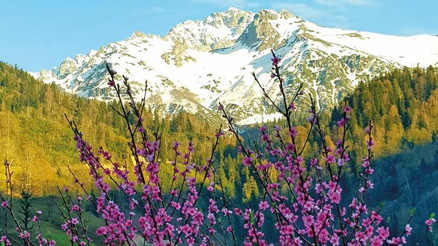 Su toprağa kavuşunca... Macahel baharı