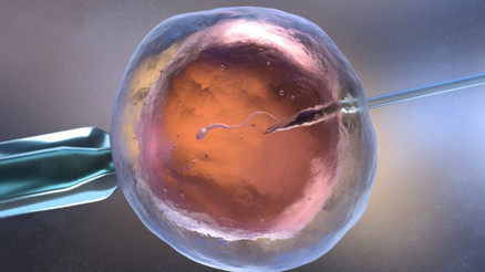 Sperm nedir Nasıl oluşur