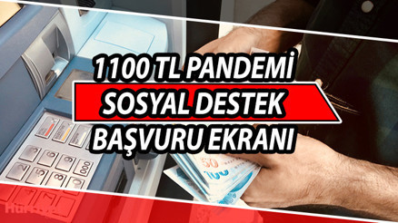 1100 TL yardım başvurusu nasıl ve nereden yapılır Pandemi sosyal destek yardımı başvurusu E-Devlet sorgulama ekranı