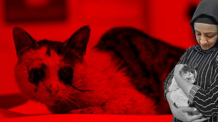 Bunun adı canilik Görür görmez yardımına koştu Bunun adı canilik Görür görmez yardımına koştu