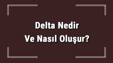 Delta Nedir Ve Nasıl Oluşur Delta Oluşabilmesi İçin Gerekli Koşullar Ve Türkiyedeki Deltalar Delta Nedir Ve Nasıl Oluşur Delta Oluşabilmesi İçin Gerekli Koşullar Ve Türkiyedeki Deltalar