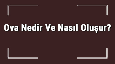 Ova Nedir Ve Nasıl Oluşur Ova Oluşabilmesi İçin Gerekli Koşullar Ve Türkiyedeki Ovalar Ova Nedir Ve Nasıl Oluşur Ova Oluşabilmesi İçin Gerekli Koşullar Ve Türkiyedeki Ovalar