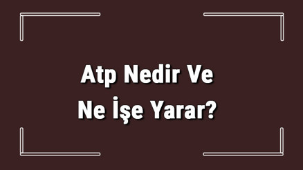 Atp Nedir Ve Ne İşe Yarar Atp Nerelerde Kullanılır Atpnin Yapısı Ve Özellikleri