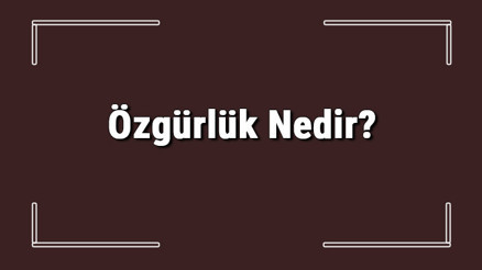 Özgürlük Nedir Özgürlük Tanımı Ve Tdk Sözlük Anlamı