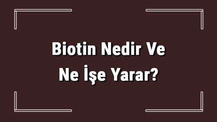 Biotin Nedir Ve Ne İşe Yarar Biotin Faydaları Nelerdir