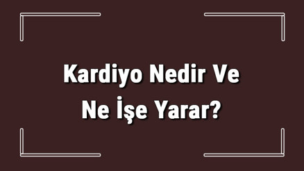Kardiyo Nedir Ve Ne İşe Yarar Kardiyo Nasıl Yapılır Ve Faydaları Neler