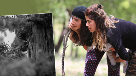 En zehirli türler arasında yer alıyor Tuncelide köyde görüldü