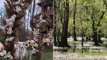 Samsunda tepki çeken görüntü Talan ettiler...