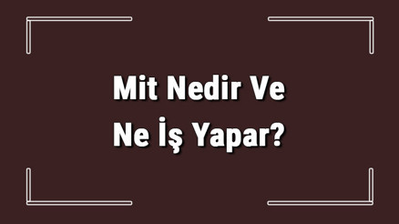 Mit Nedir Ve Ne İş Yapar Mit Çalışanı Nasıl Olunur Ve Şartları Neler Mit Nedir Ve Ne İş Yapar Mit Çalışanı Nasıl Olunur Ve Şartları Neler